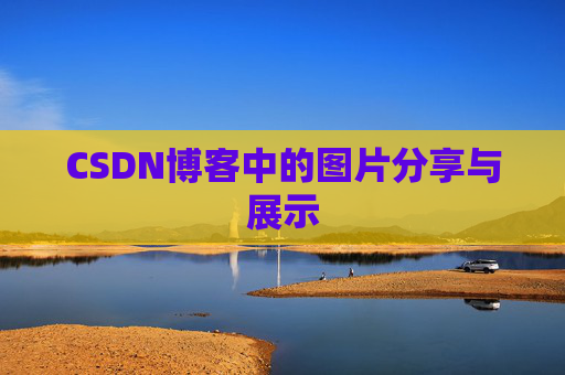 CSDN博客中的图片分享与展示